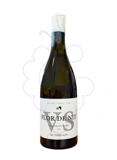 Flor De Nit Vs 2019