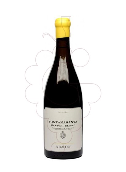 Foto Foradori Fontanasanta Manzoni vino blanco