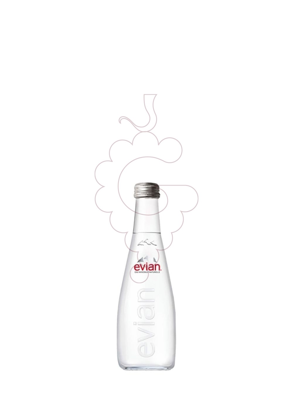 Foto Refrescos Aigua evian natural 33 cl