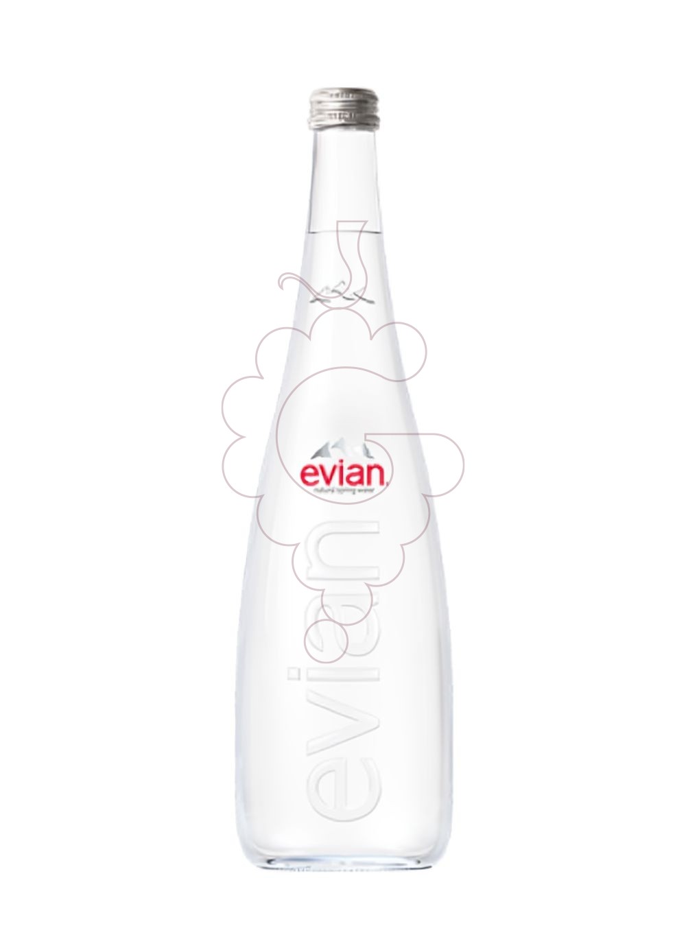 Foto Refrescos Aigua evian natural 75 cl