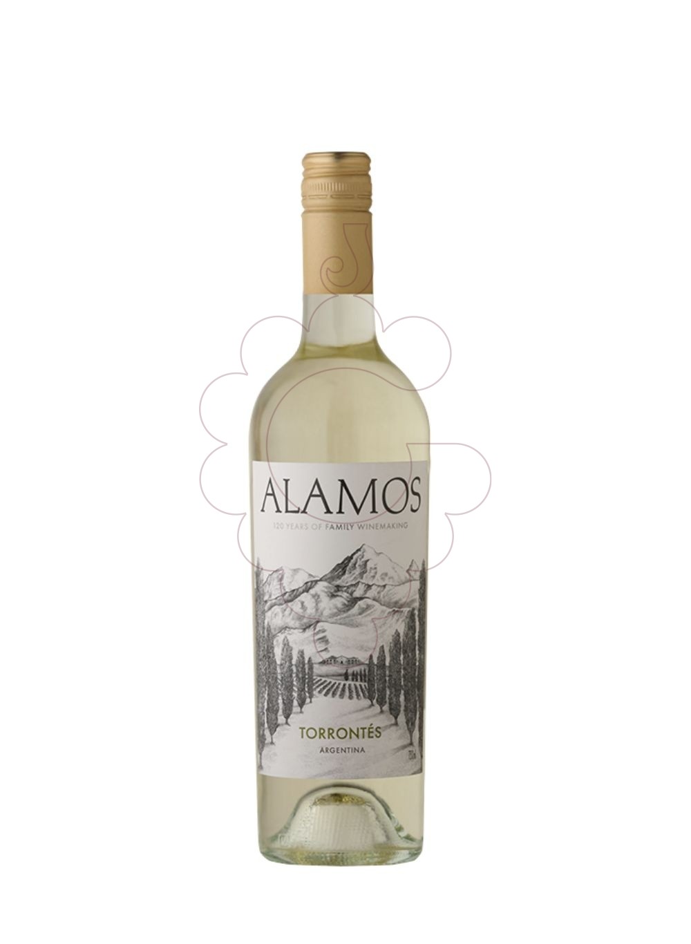 Foto Alamos Torrontés vino blanco