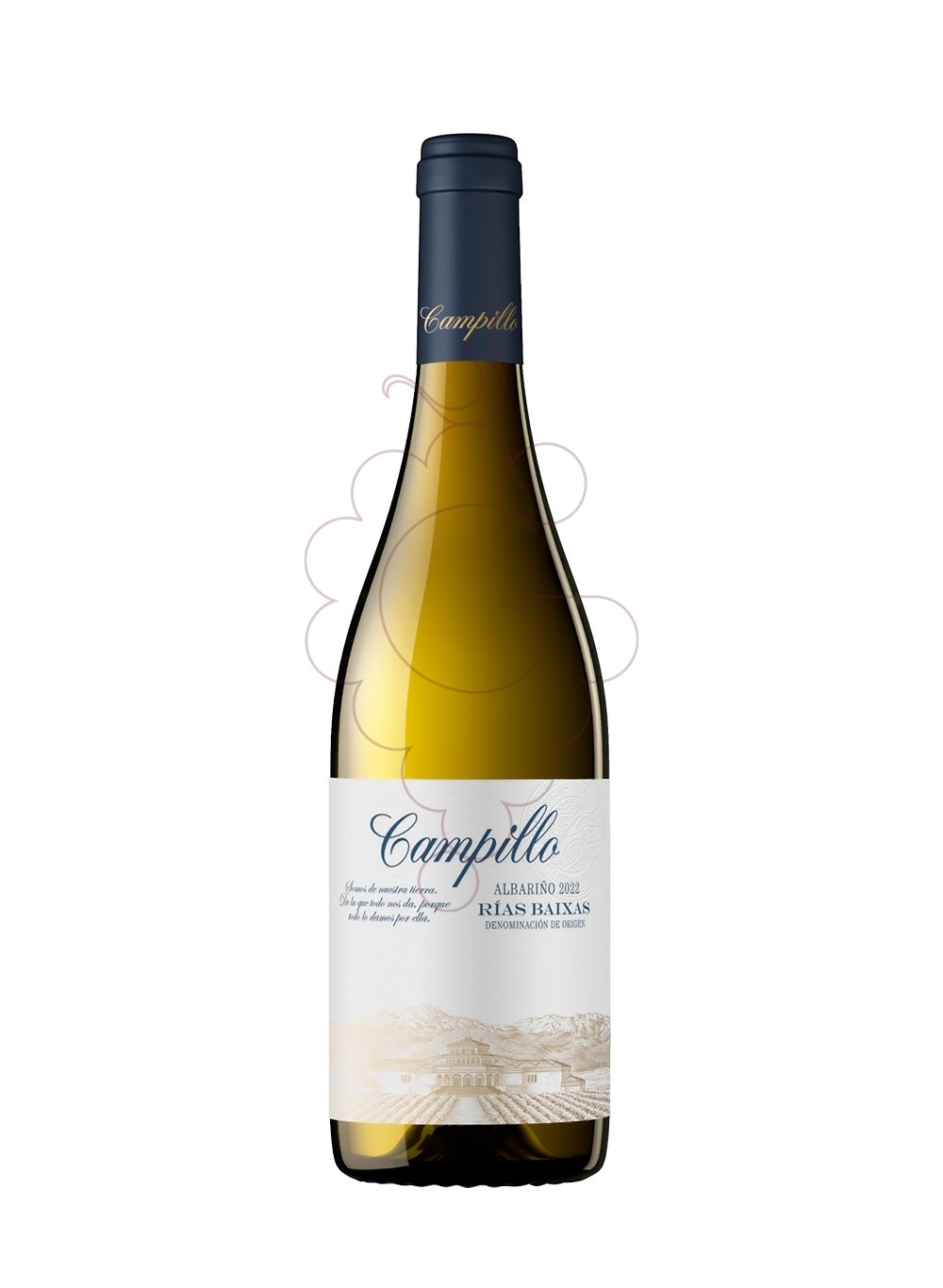 Foto Albariño Campillo 2022 vino blanco