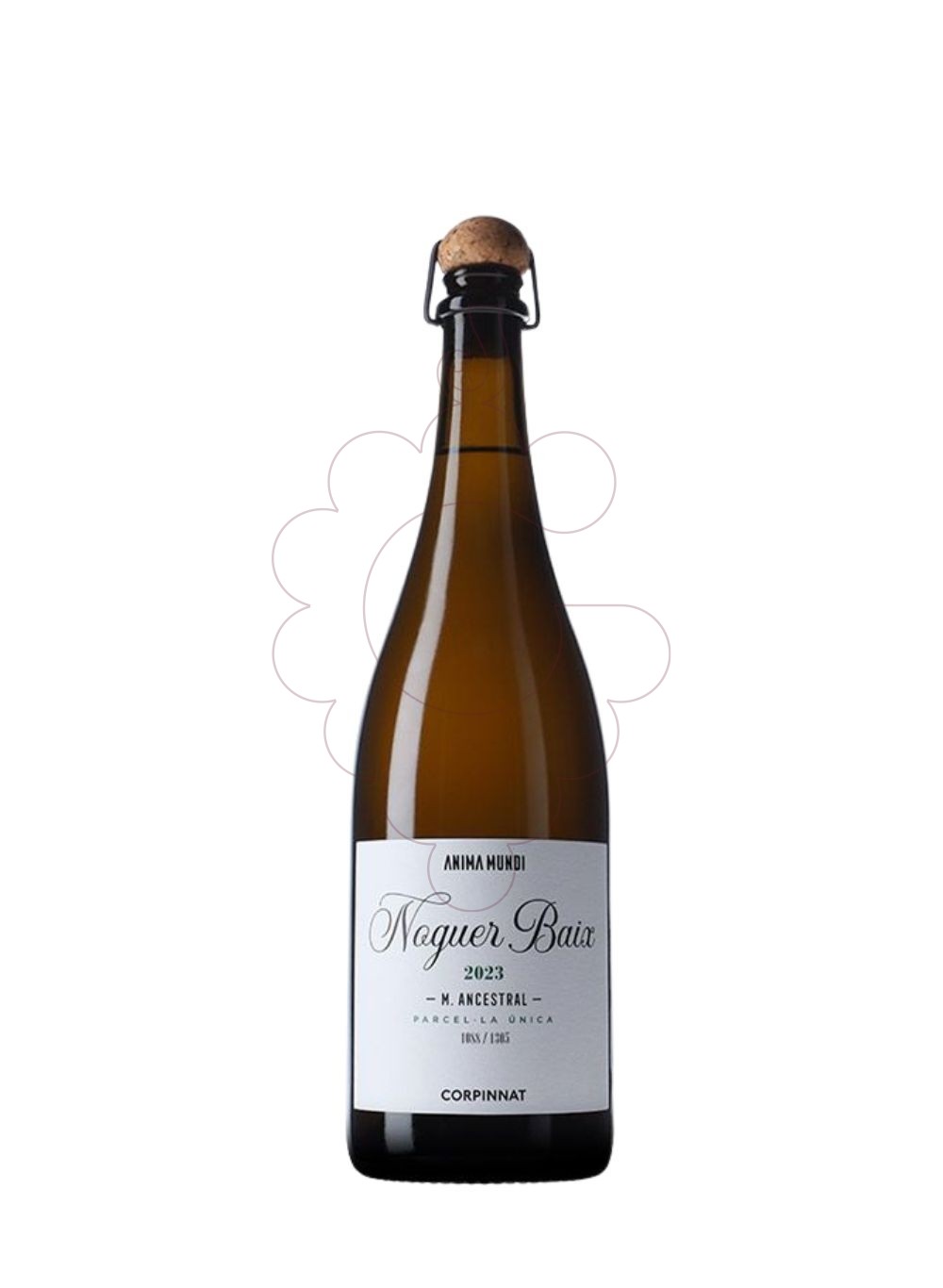 Foto A.mundi noguer baix ancestral vino espumoso