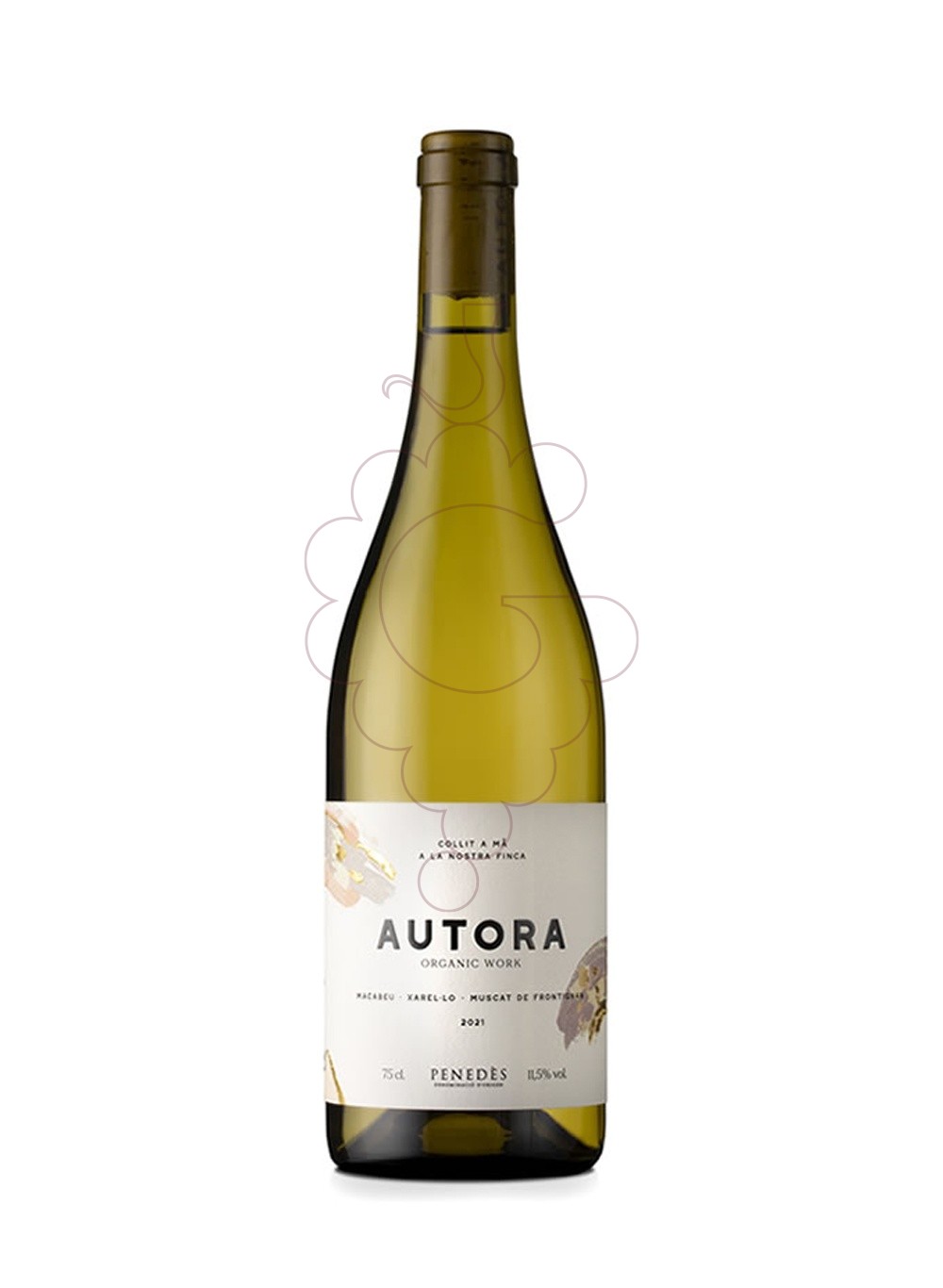 Foto Autora Macabeu-Xarel·lo- Muscat vino blanco