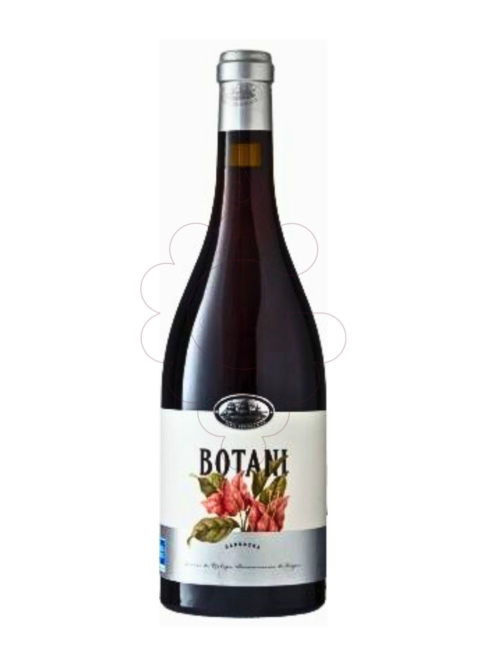 Foto Botani Negre Garnatxa vino tinto