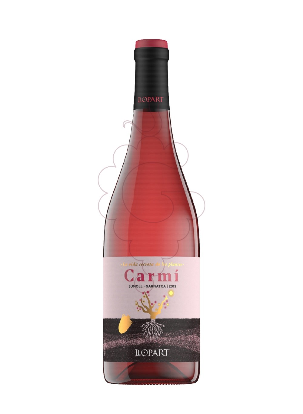 Foto Llopart Carmí La Vida Secreta de les Plantes vino rosado