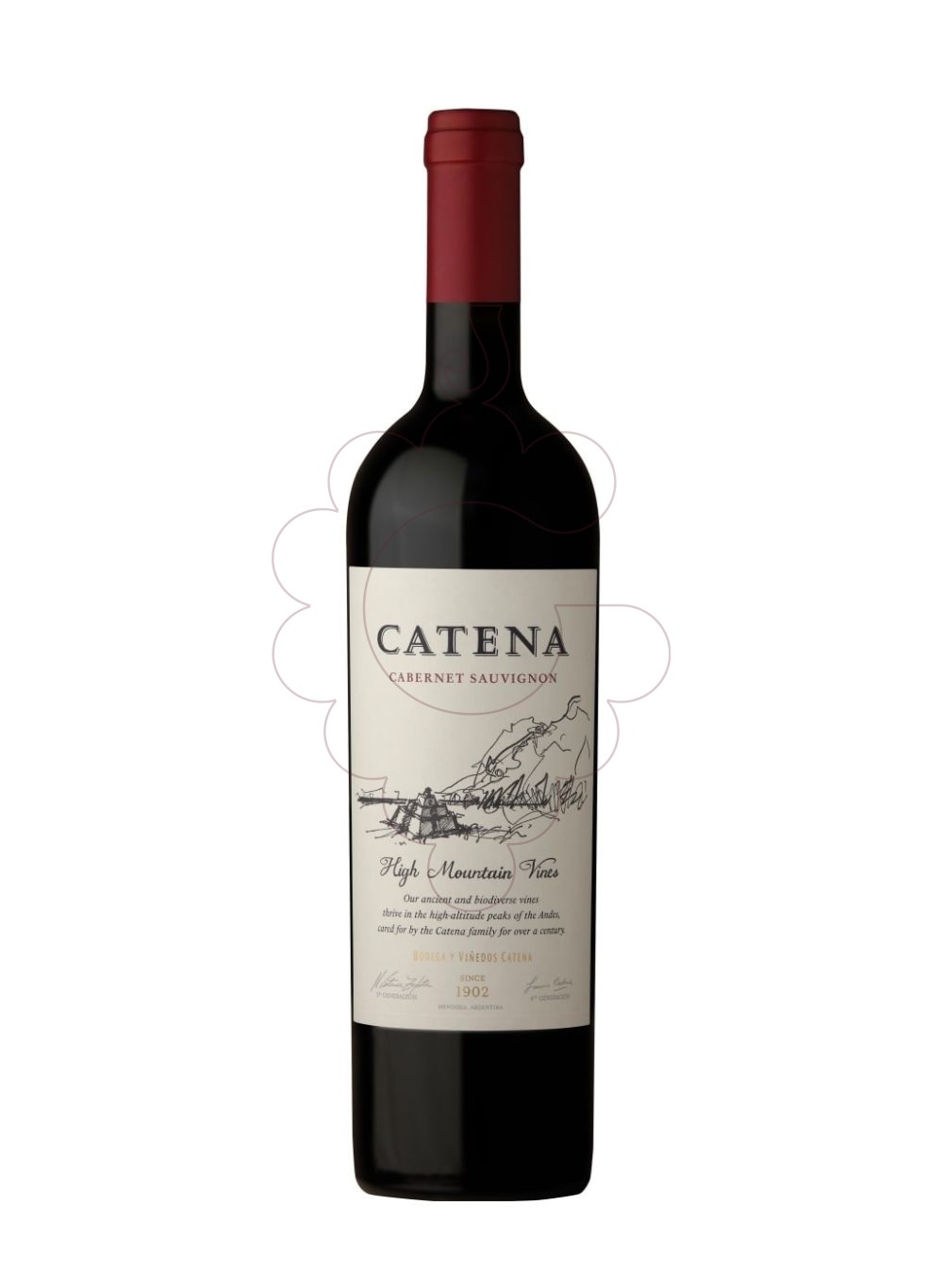 Foto Catena Cabernet Sauvignon vino tinto