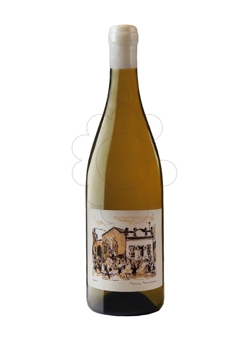 Foto Celler Via Bóta Macabeu vino blanco