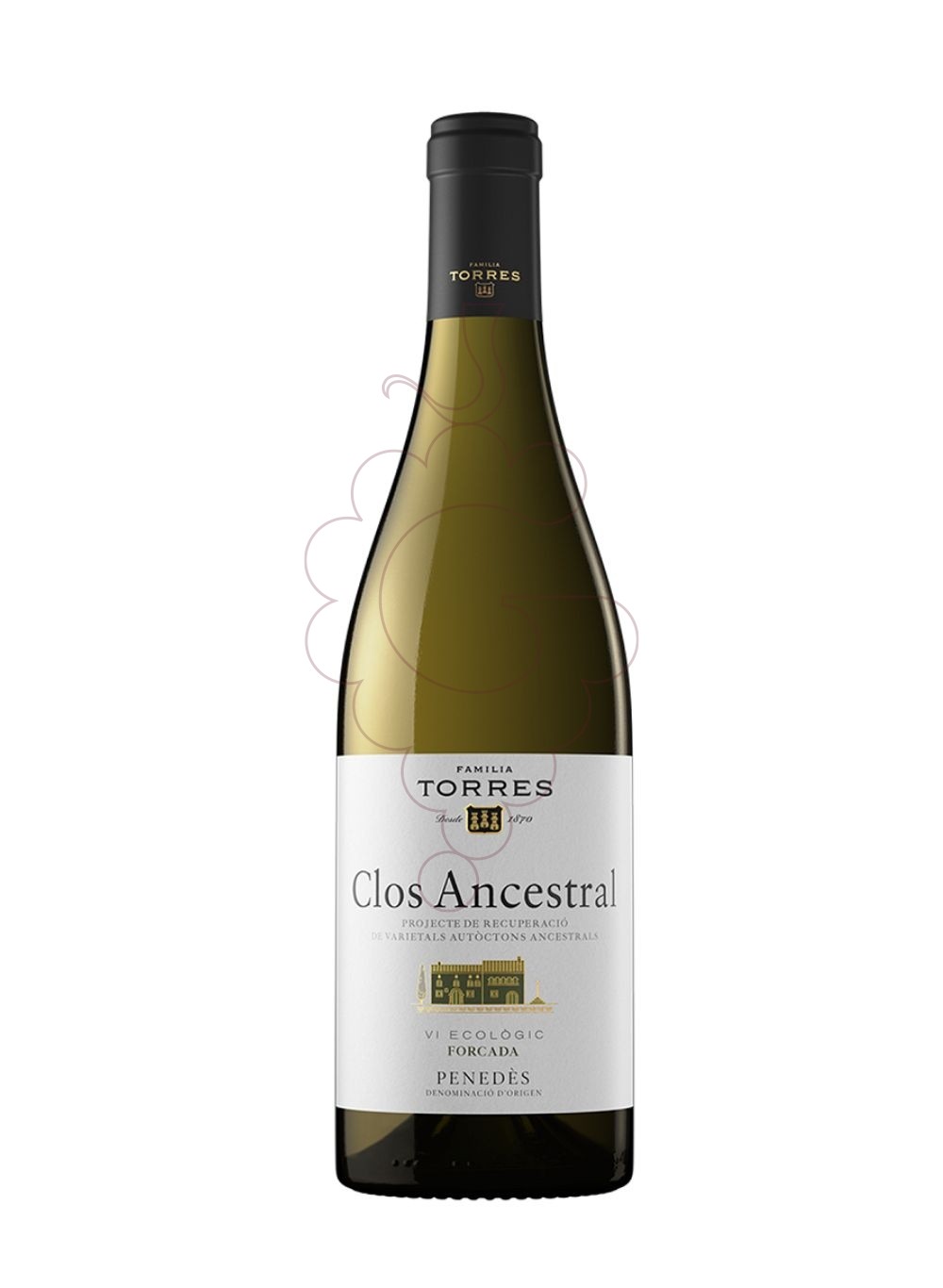 Foto Clos Ancestral Blanco vino blanco