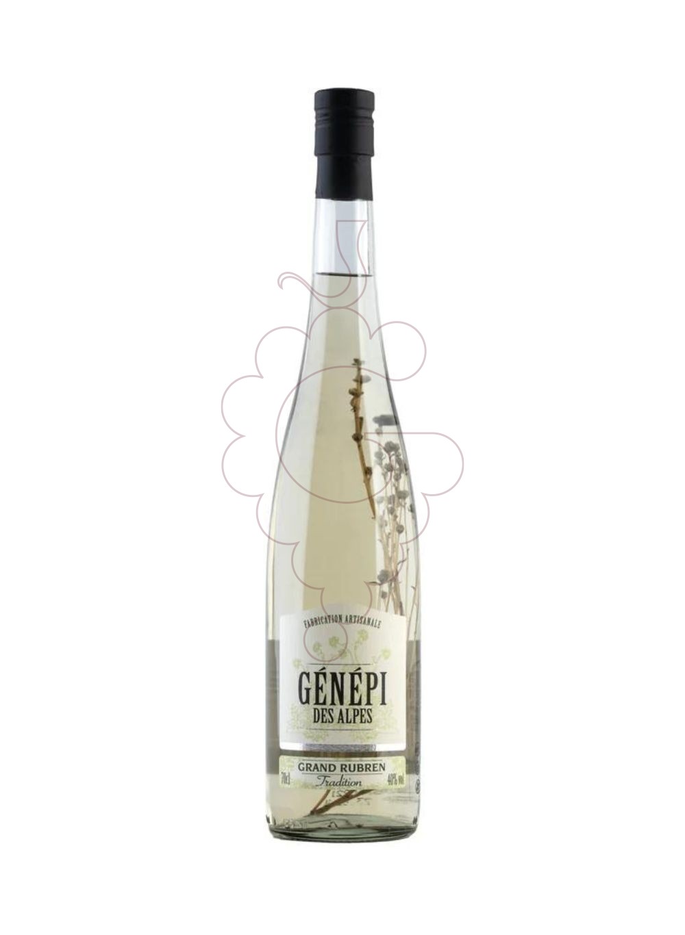 Foto Licor C.rocher genepi alpes g.rubren