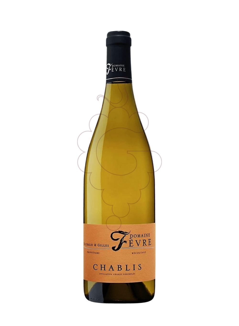 Foto Nathalie & Gilles Fèvre Chablis vino blanco