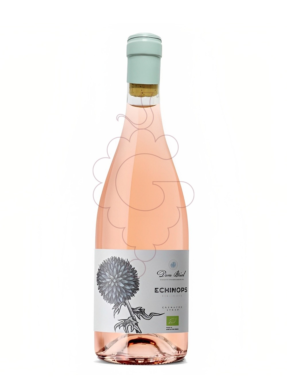 Foto Echinops Dom Brial Rose vino rosado