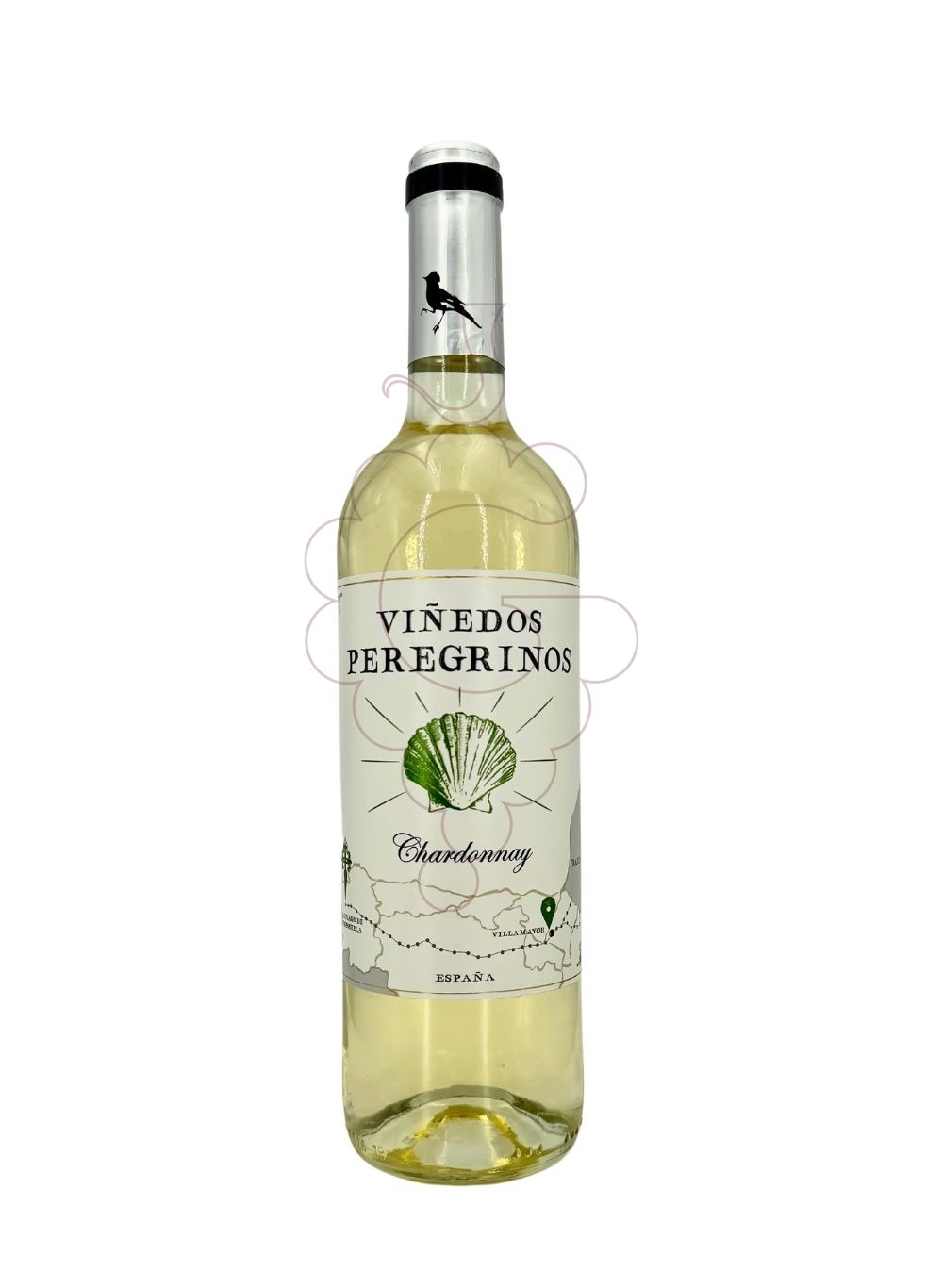 Foto Viñedos Peregrinos vino blanco