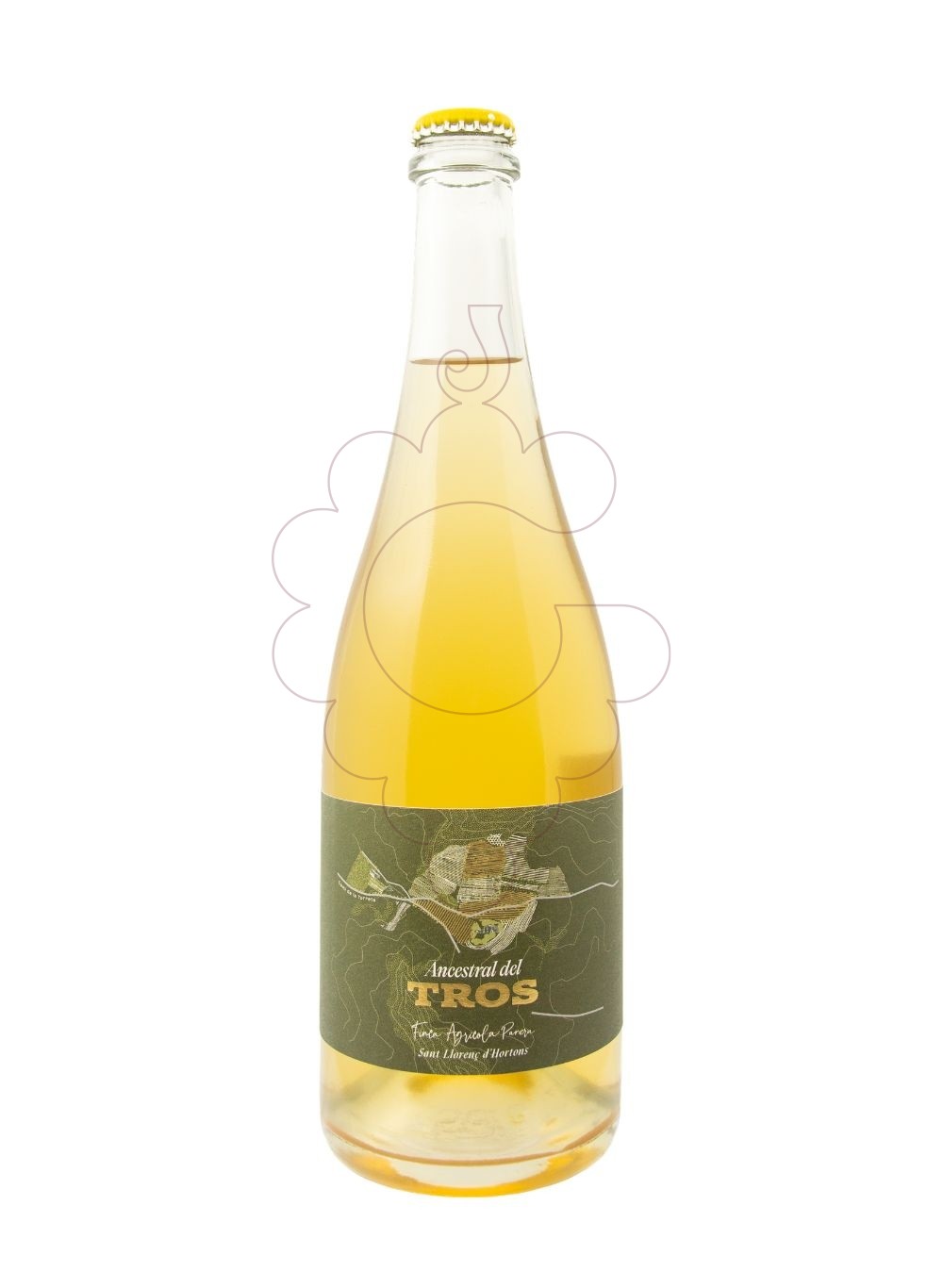 Foto Finca Parera Ancestral del Tros vino espumoso