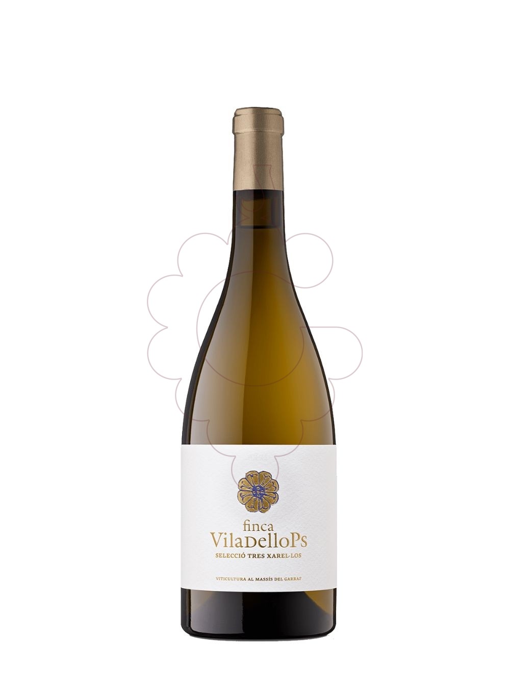 Foto Finca Viladellops Xarel·lo vino blanco