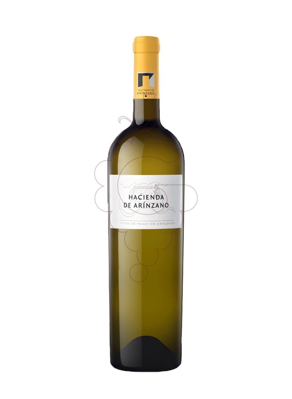 Foto Hacienda de Arínzano Blanco Magnum vino blanco