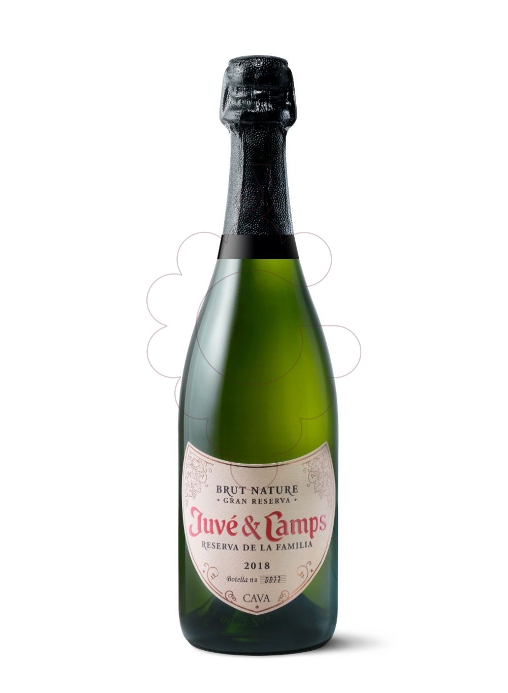 Foto Juve i Camps Reserva Familiar Jeroboam vino espumoso