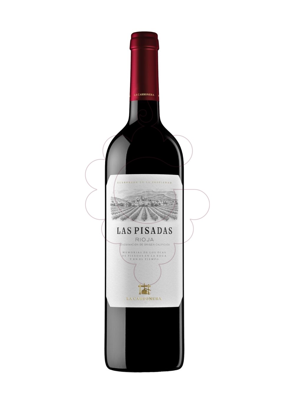 Foto Las Pisadas Labastida NG 2019 vino tinto