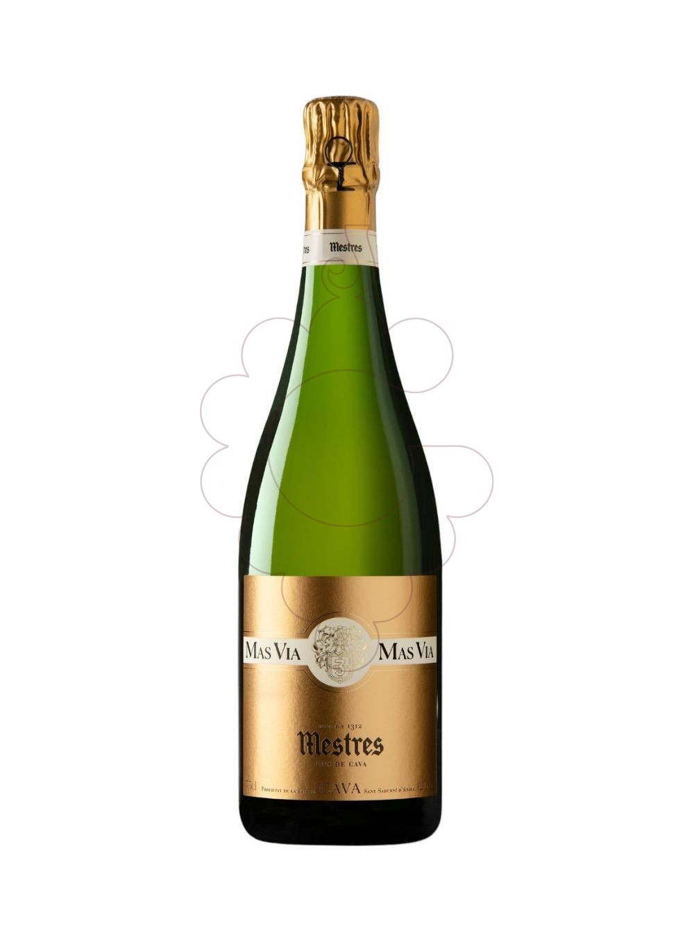 Foto Mestres Mas Via Brut vino espumoso