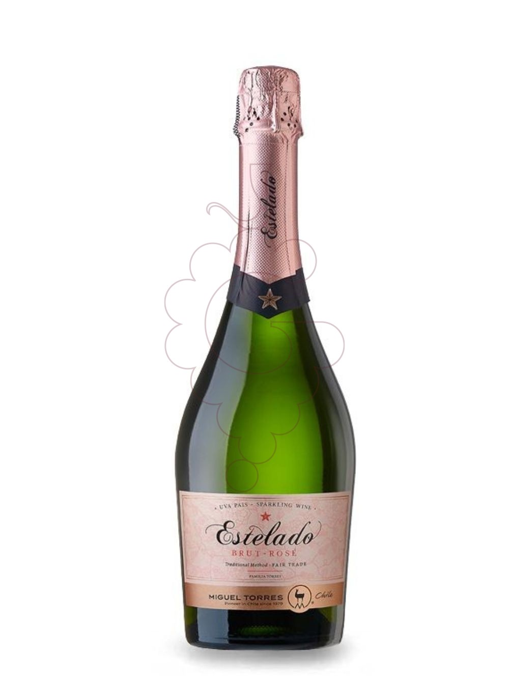 Foto Estelado Miguel Torres Brut Pinot Noir vino espumoso
