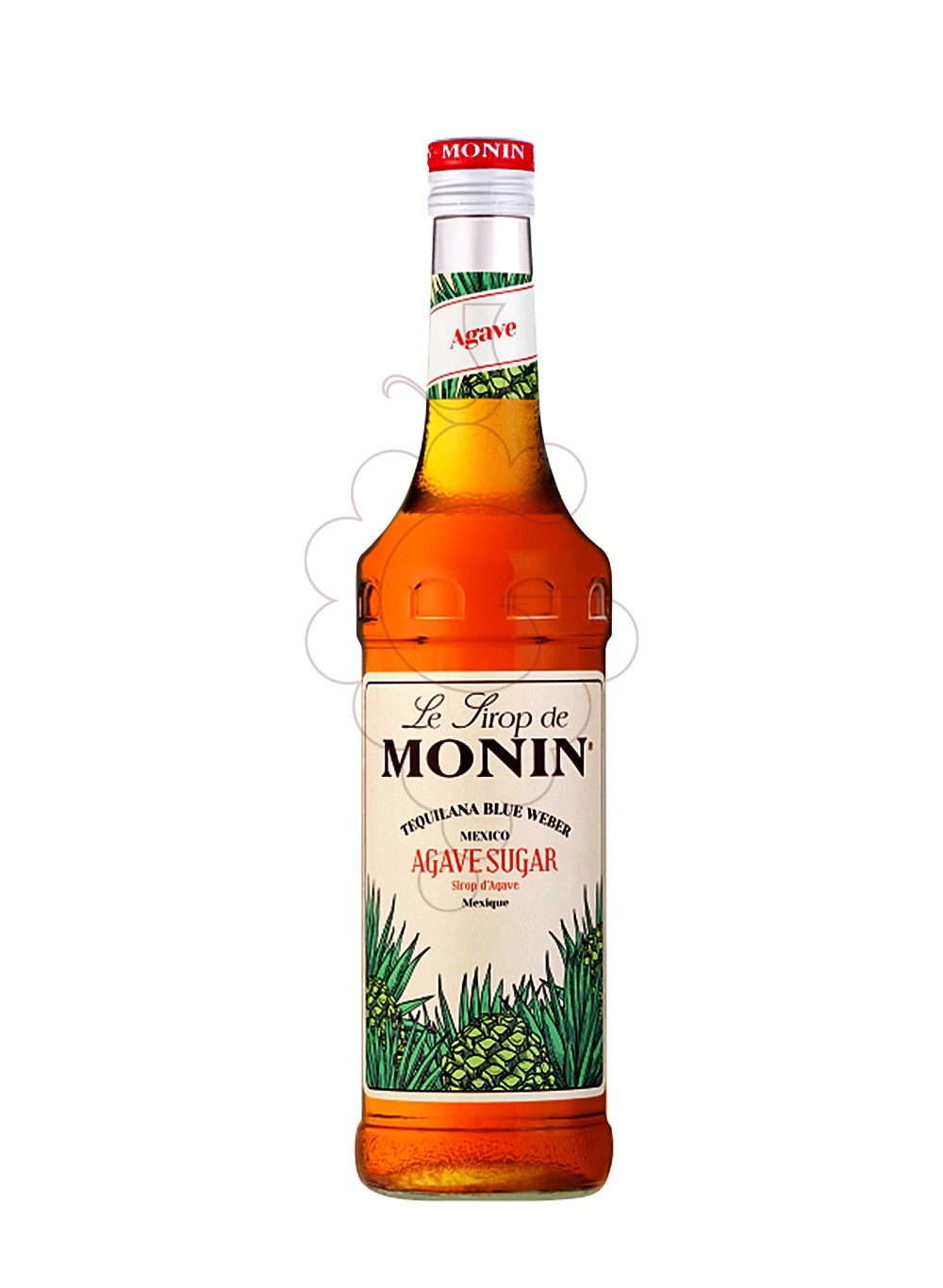 Foto Jarabes Monin Agave (s/alcohol)