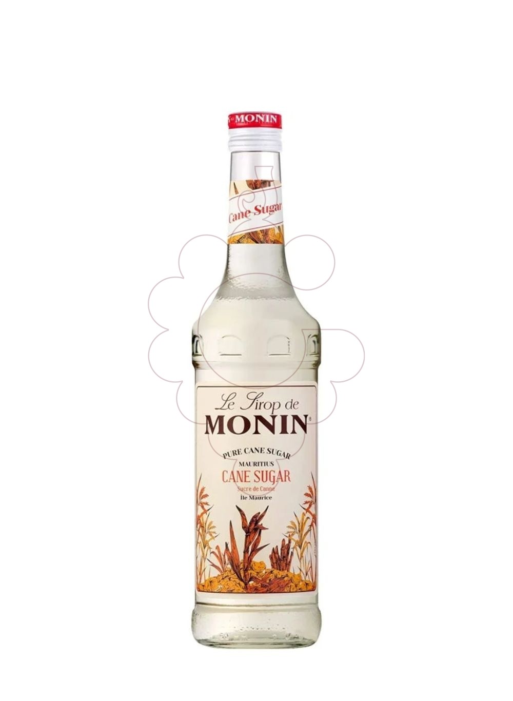 Foto Jarabes Monin Pur Sucre de Canne (s/alcohol) PET