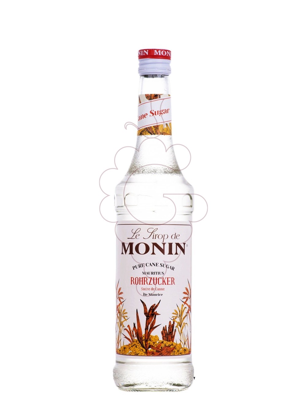 Foto Jarabes Monin Pur Sucre de Canne (s/alcohol)