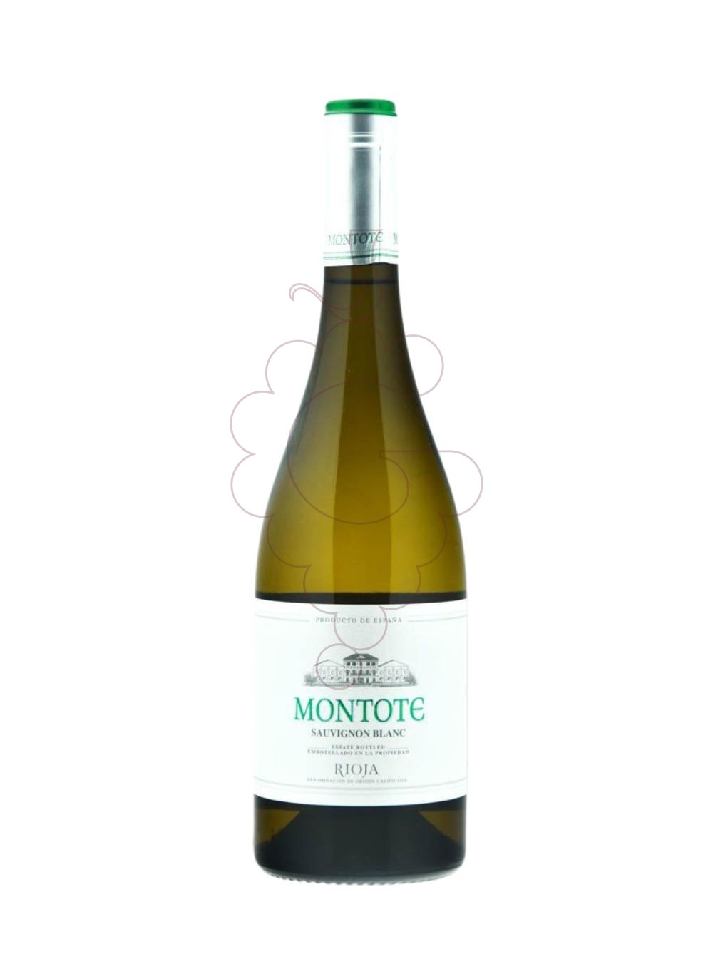 Foto Montote Sauvignon Blanc vino blanco