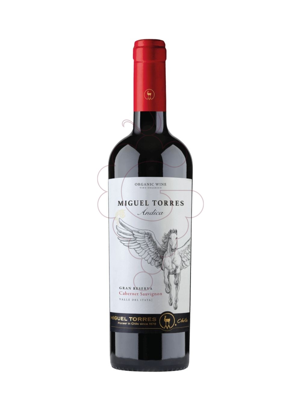 Foto Miguel Torres Andica Carmenere vino tinto