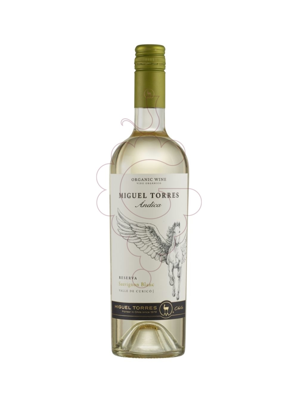 Foto Miguel Torres Andica Sauvignon vino blanco