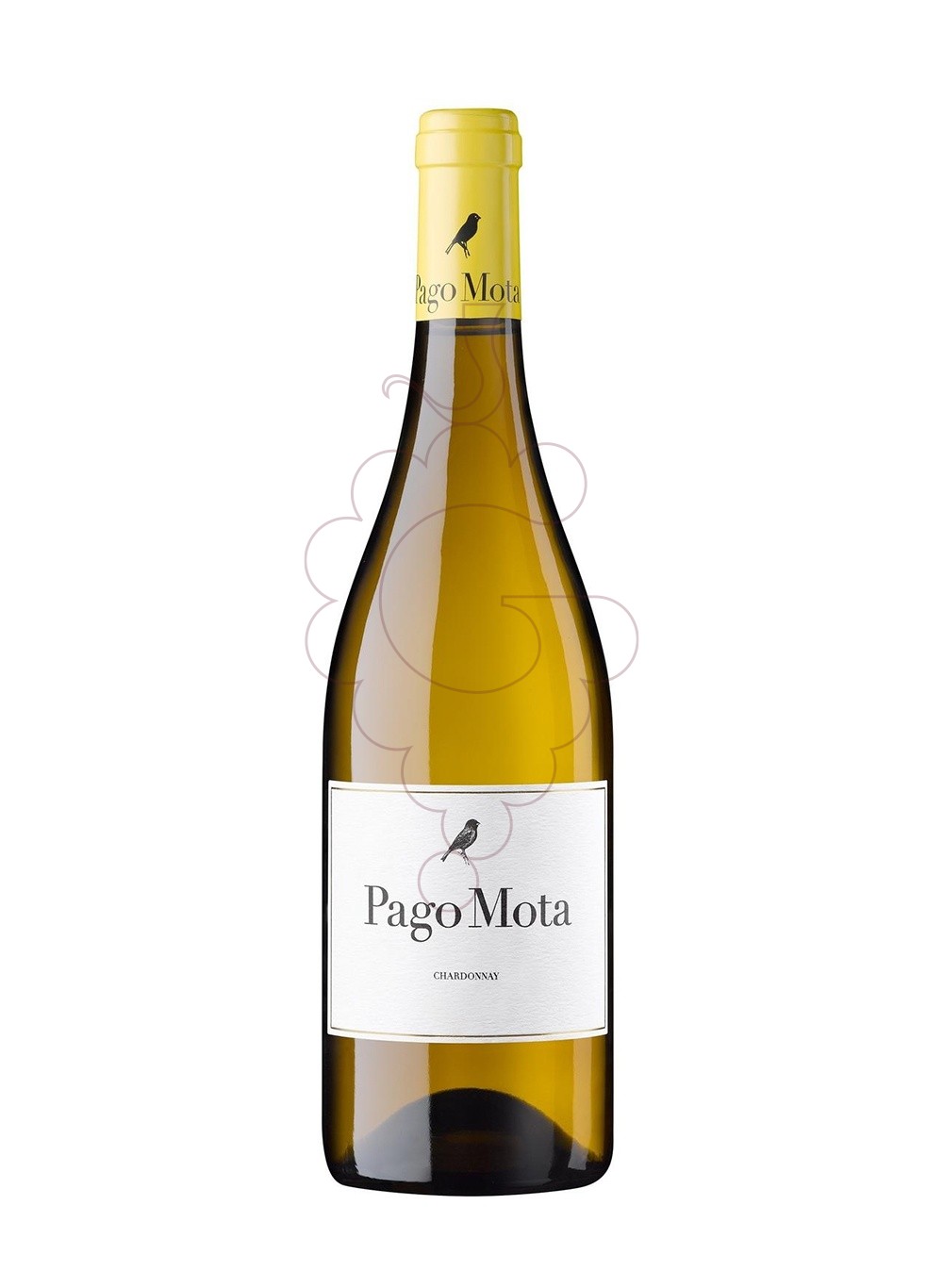 Foto Pago Mota Chardonnay vino blanco