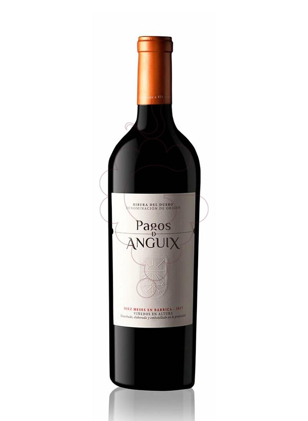 Foto Pagos de Anguix Costalara Magnum vino tinto