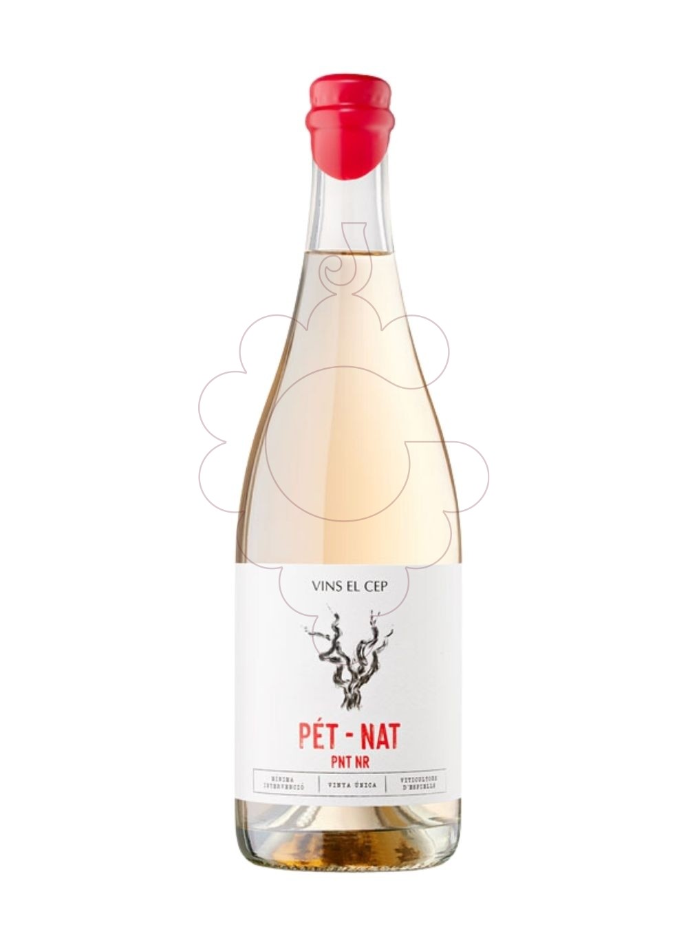 Foto Pet-nat pinot noir 75 cl vino espumoso