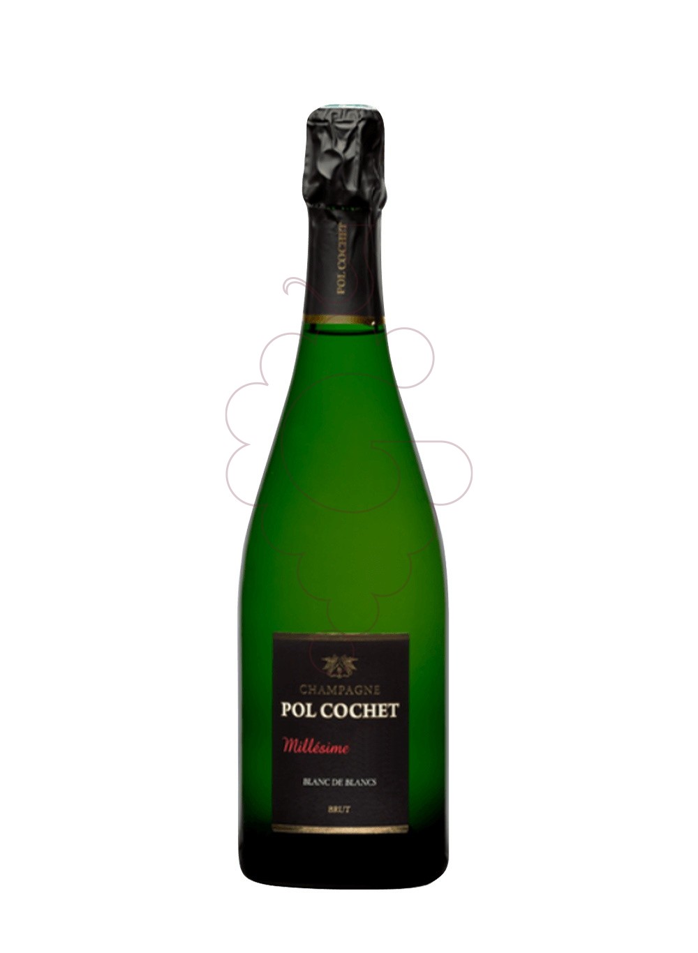 Foto Pol Cochet Millesime Blanc de Blancs vino espumoso