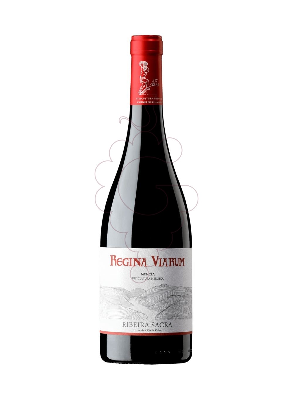 Foto Regina Viarum Mencia vino tinto