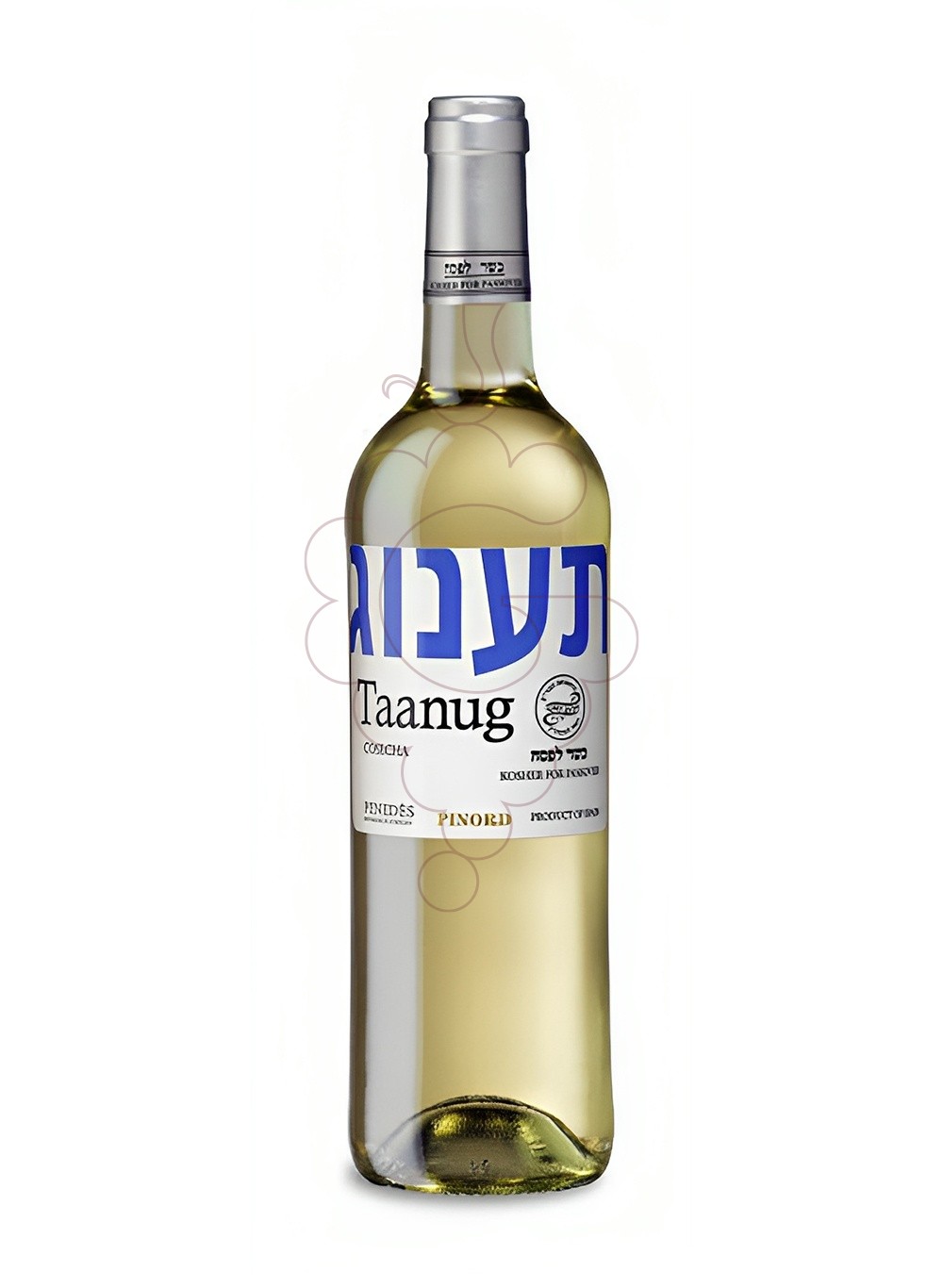 Foto Taanug Blanco Kosher vino blanco