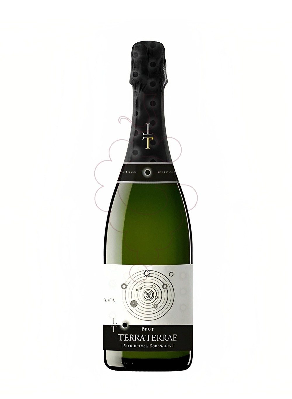 Foto Terra terrae brut jove 75 cl vino espumoso