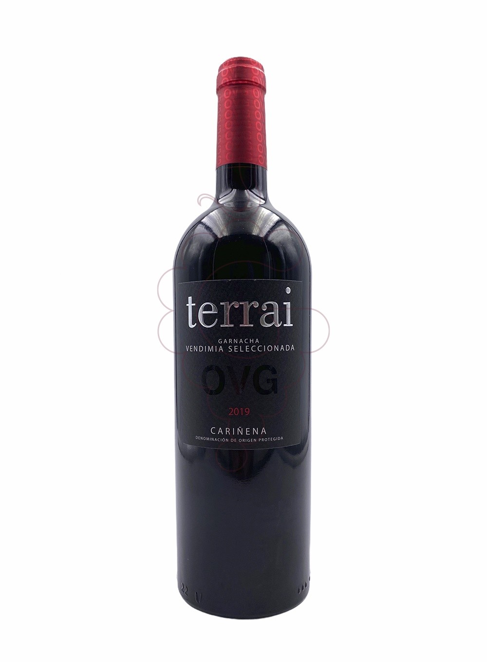 Foto Terrai V vino tinto