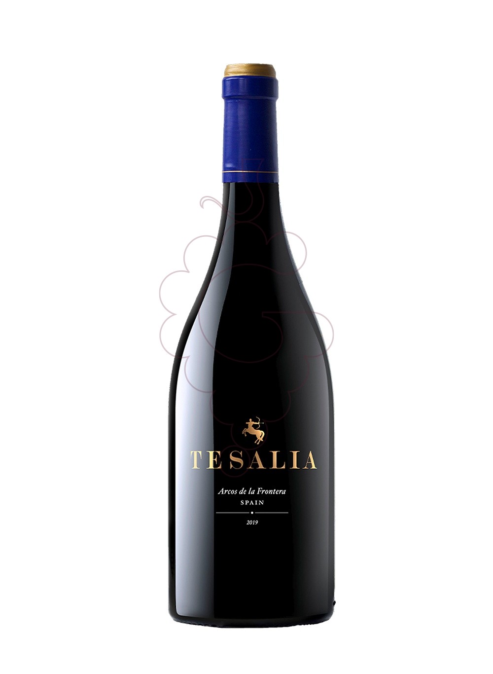 Foto Tesalia negre 2019 75 cl vino tinto