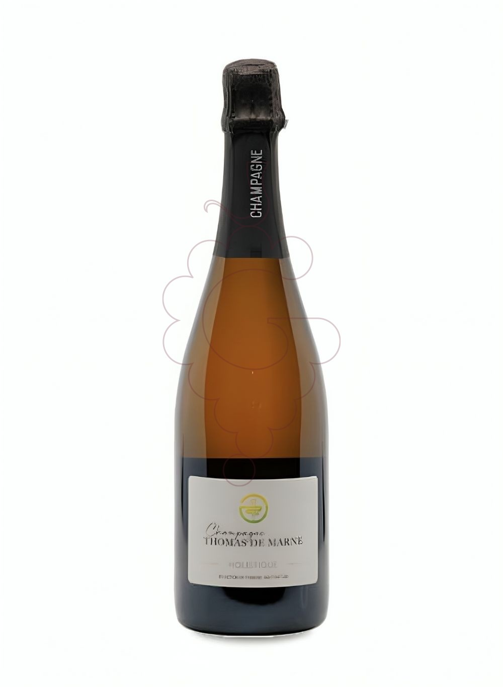 Foto Thomas de Marne Holistique Brut Nature vino espumoso