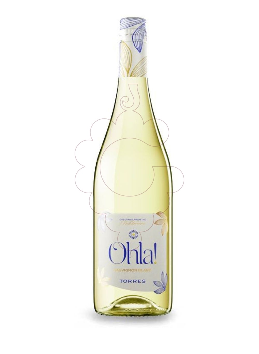 Foto Torres Ohla Blanco vino blanco
