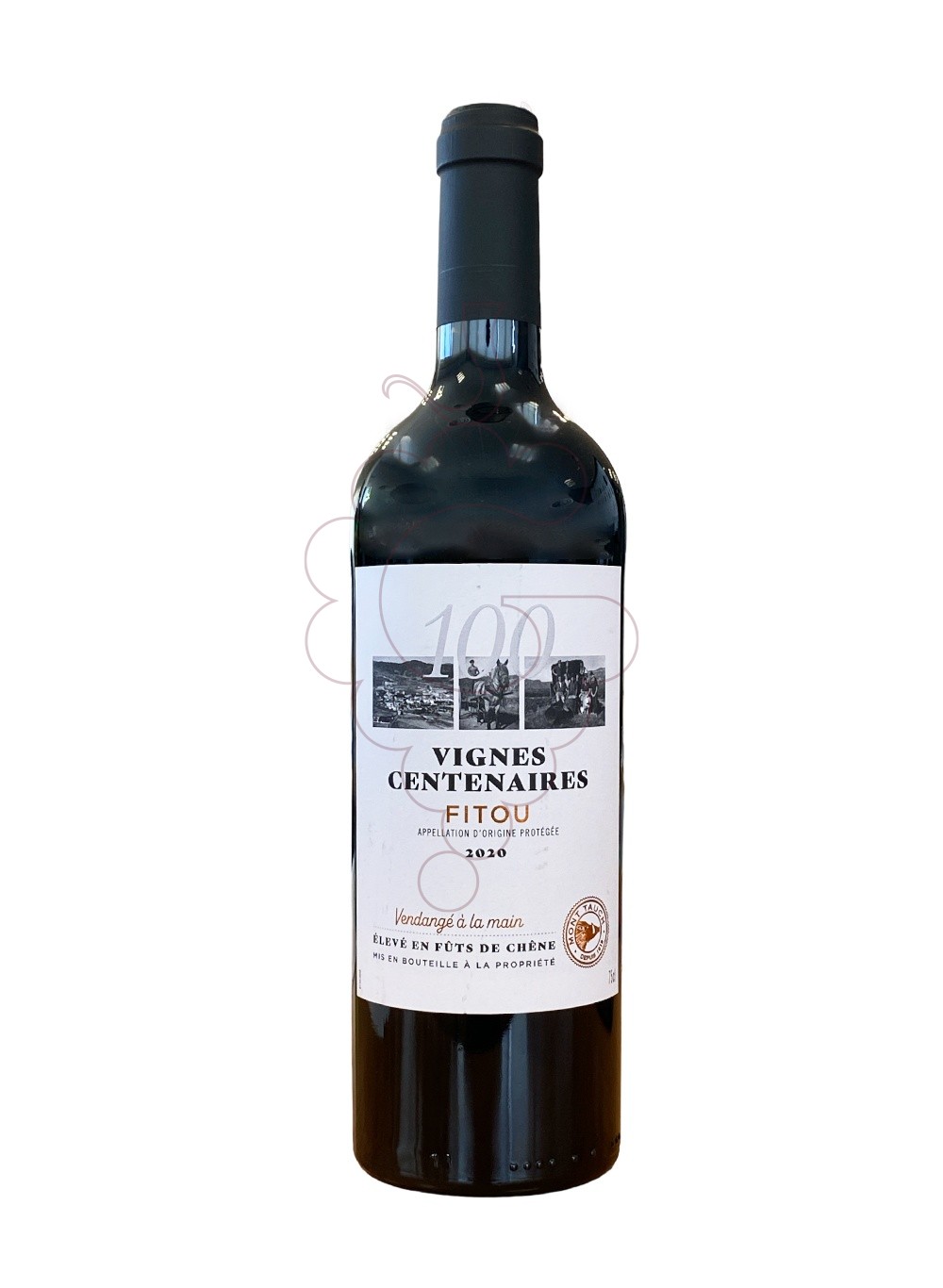 Foto Vignes centenaires fitou ng 20 vino tinto
