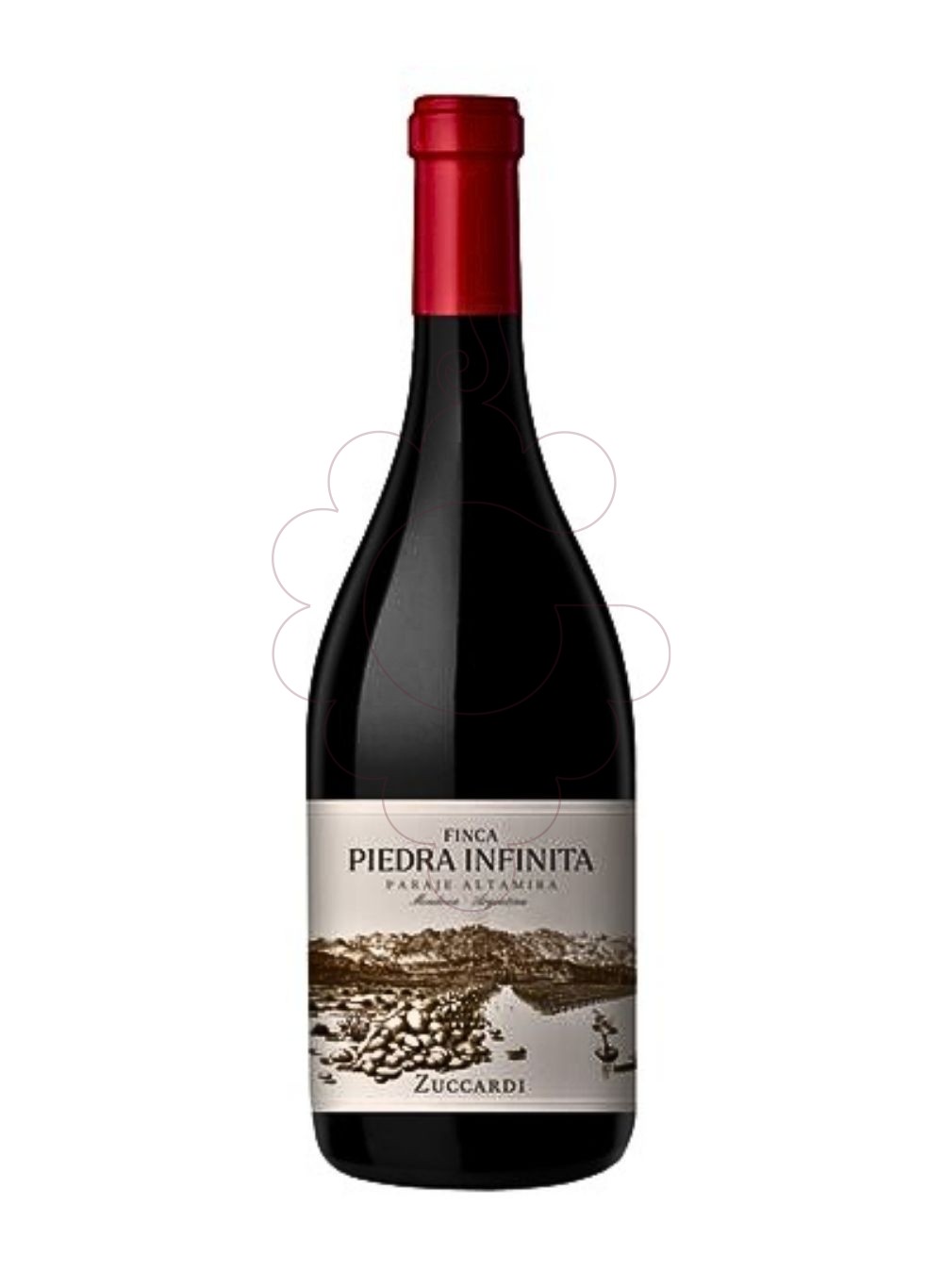 Foto Zuccardi Finca Piedra Infinita vino tinto