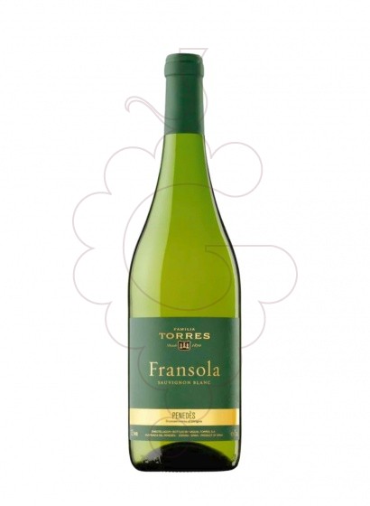 Fransola Magnum 2019