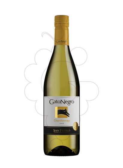 Foto Gato Negro Blanco Chardonnay vino blanco