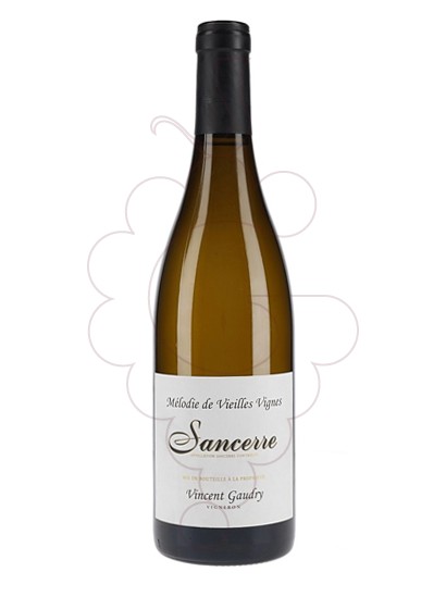 Foto Gaudry Mélodie de Vieilles Vignes Sancerre vino blanco