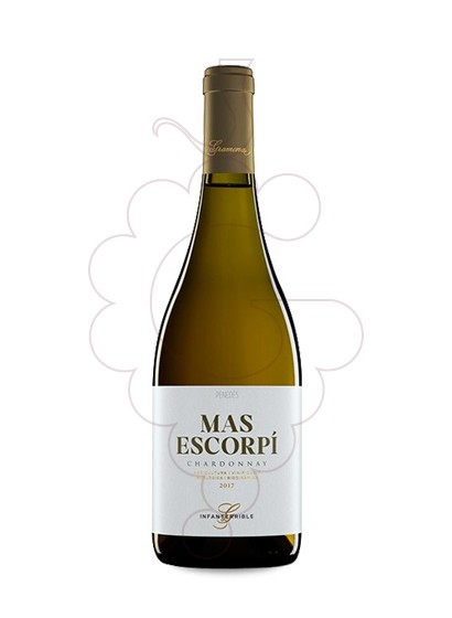 Foto Mas Escorpí Chardonnay vino blanco