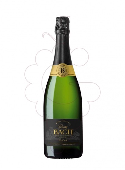 Foto Gran Bach Brut vino espumoso