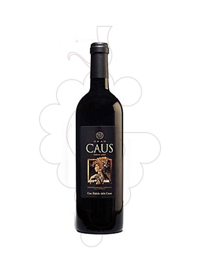 Foto Gran Caus Tinto Reserva vino tinto