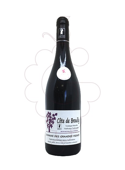 Foto Domaine des Grandes Vignes Côte de Brouilly vino tinto